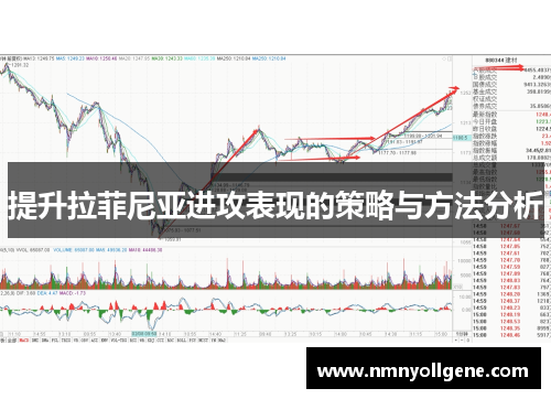 提升拉菲尼亚进攻表现的策略与方法分析